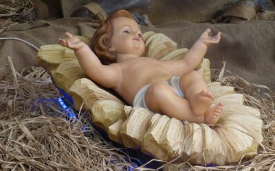 Nativity – Delight or Disaster for our little boy?