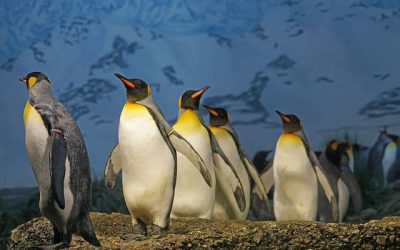 Planning with Military Precision – it’s School Trip Season