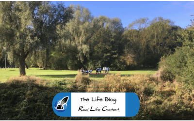 My Love Letter to Milton Keynes
