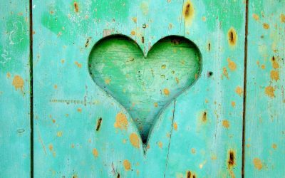 The Other Loves of my Life – that aren’t human