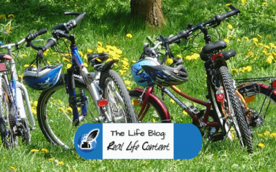 Summer Term Joy – Three Things We’ve Loved Having Back